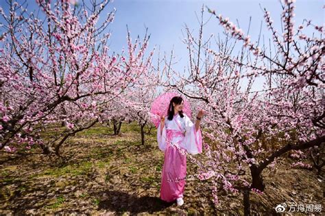 桃花神煞|八字命理中，“神煞桃花”与“桃花运”的区别与运用